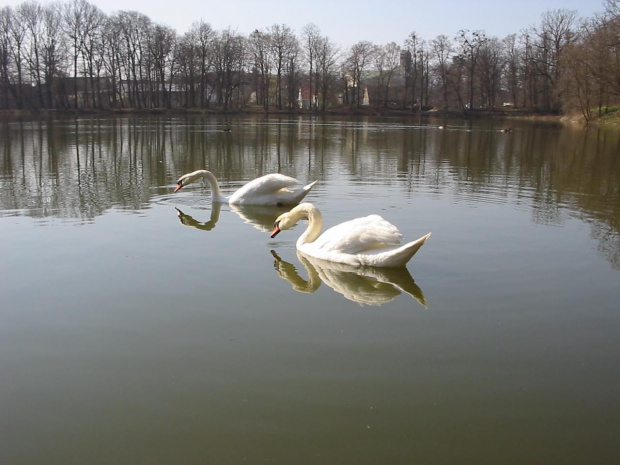 moszna wiosna 2007 #MosznaWiosnaPark