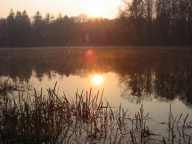 moszna wiosna 2007 #MosznaWiosnaPark