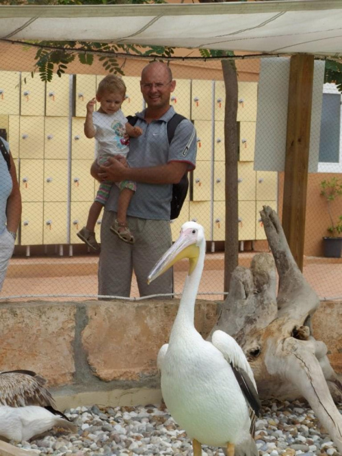 Majorka, wrzesień 2008
Marineland