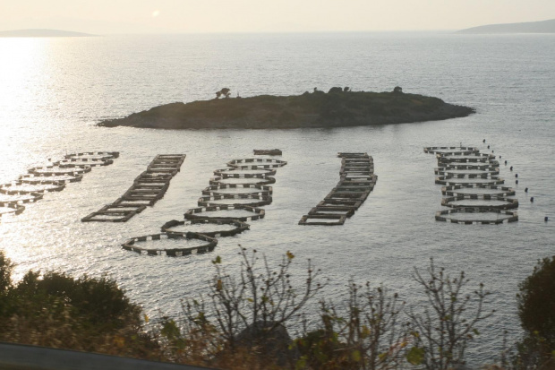 Droga: Lotnisko - Bodrum - Akyariar