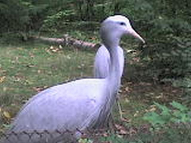 Pawełek w łódzkim Zoo