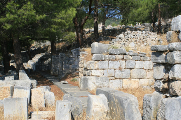 Agora w Priene