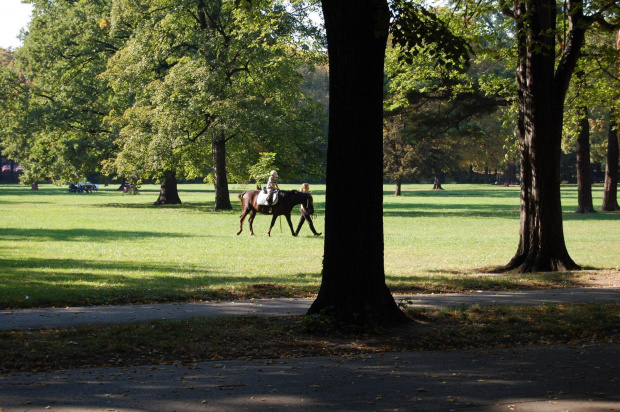 Park w Legnicy