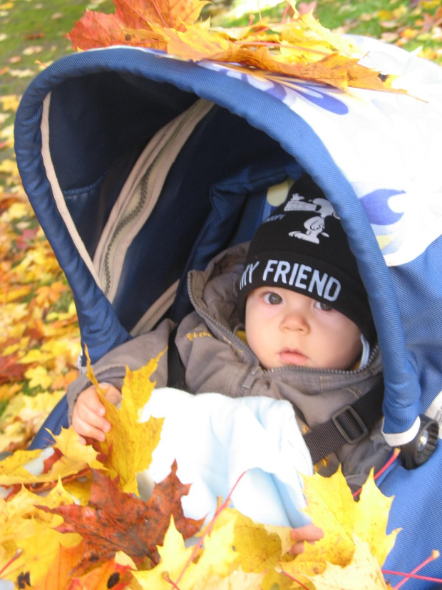 jesienny spacer #dziecko #jesień