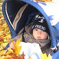 jesienny spacer #dziecko #jesień