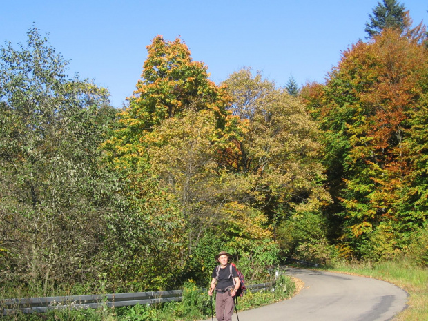 Na szlaku #Góry #Bieszczady