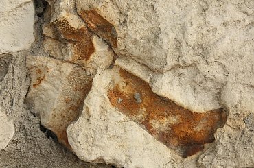 Skamieniałości widoczne w murze w centrum Wilkołaza. Takie muzeum za darmo w plenerze :) #Wilkołaz #skamieniałości