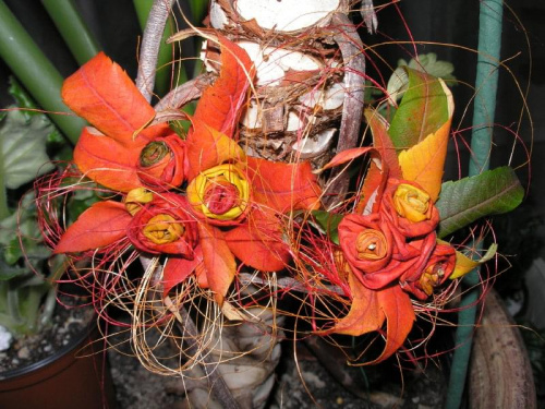bukieciki z kolorowo przebarwionych liści sumaka