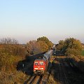 24.10.2008 Kustrin-Kietz Ludmiła BR233_373-0 opuszcza stację z pociągiem EC 444 Berlin-Warszawa Express relacji Warszawa Wsch - Berlin Gesundbrunnen. W oddali widoczny semafor wjazdowy.