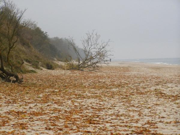 Jesień na plaży w Gąskach ...