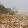 Jesień na plaży w Gąskach ...