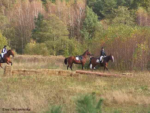 2008.10.18 Hubertus I