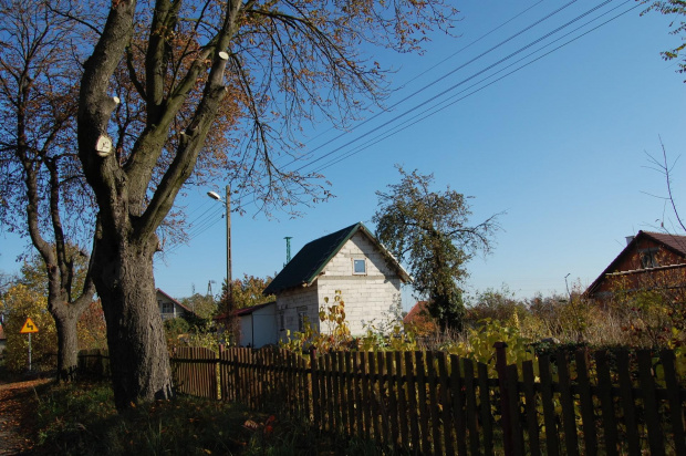 Pątnów Legnicki jesienią- 26.10.2008