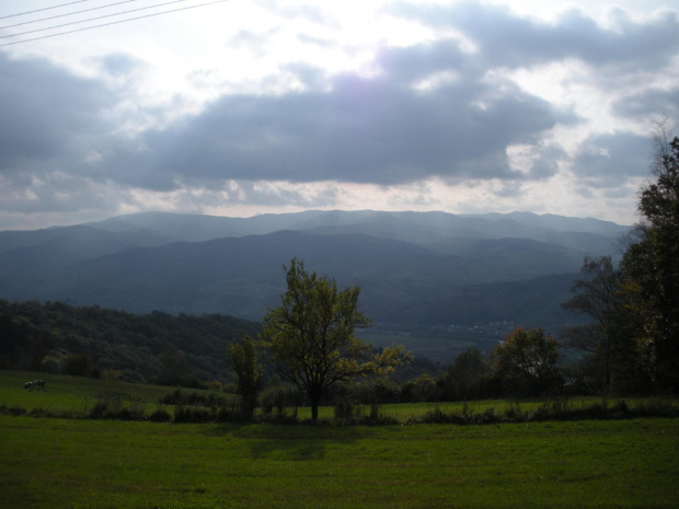 Widok na Beskid Sądecki