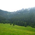 #DolinaChochołowska #góry #las #Tatry #Zakopane #lato