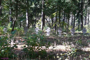 Cmentarz wiejski w Karwiku #CmentarzWiejskiWKarwiku #Karwik #MazurskieCmentarze #Mazury