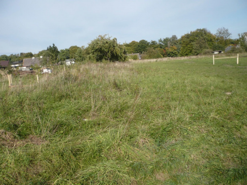Działka