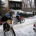 zima
