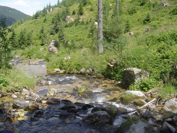 #Tatry #natura #strumień #potok #woda #góry #widoki