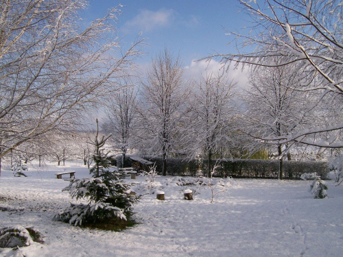 Zima 2008 - mój ogród #zima #ogród #listopad