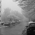 Piaskowa Góra w przedpołudniowej mgle #Wałbrzych