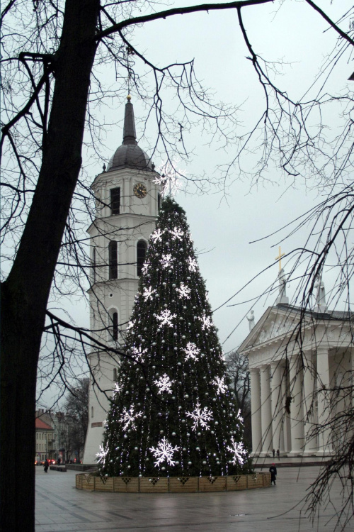 Plac Katedralny w Wilnie #Wilno