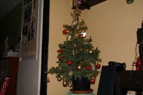 Boze Narodzenie 2008