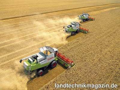 lexion