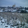 #Pole #śnieg #zima #miasto #Lubomierz