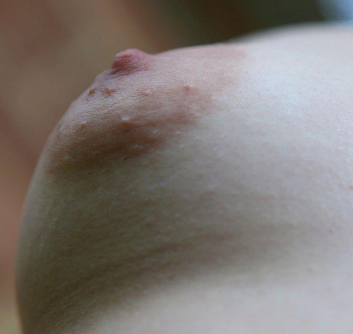 #sutki #piersi #cycuszki #cycki #MałePiersi #DrobnePiersi