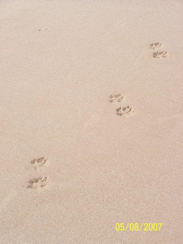 Mablethorpe