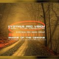 dydymus pro vision copyright by dydymuspromedia www.dydymus.eu dydymus@dydymus.eu #dydymus #dydymuspromedia #dydymusprovision #wojciechdydymski