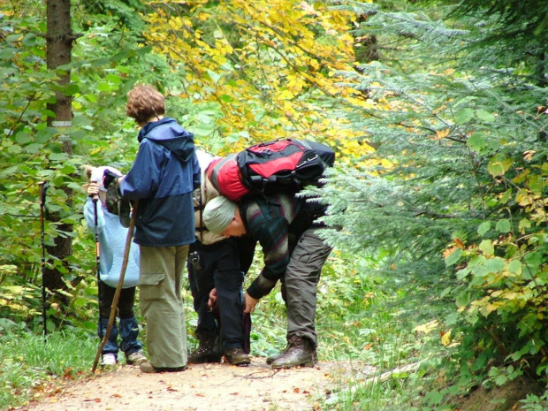 #góry #Bieszczady #rodzina #wycieczka #BukoweBerdo