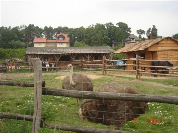 Traperska Osada COUNTRY The Medley - Bolechówko-Owińska 2007.07 #TraperskaOsadaCountryImpreza