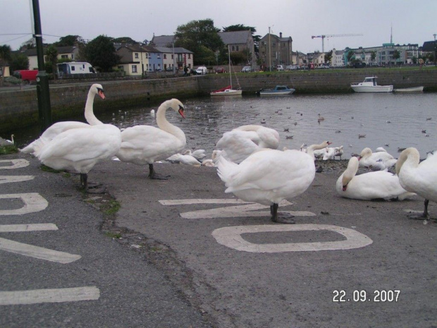 Dookola Galway :]