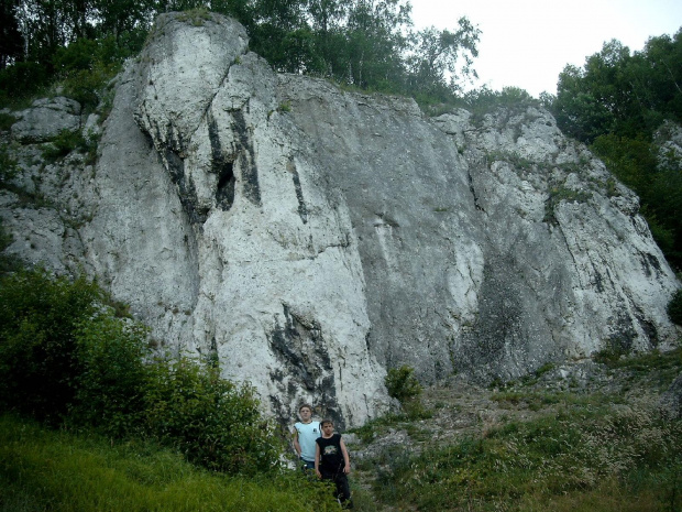 Dolina Kobylanska, pod Krakowem VII.2006