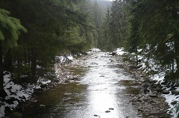 ;) #ferie #zakopane #warszawa #harenda #sheesha #narty #stok #góry #DolinaKościeliska