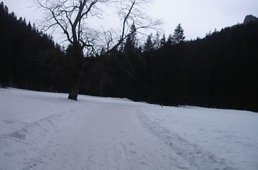 ;) #ferie #zakopane #warszawa #harenda #sheesha #narty #stok #góry #DolinaKościeliska