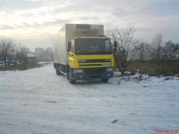 Daf CF