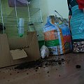 28.01.2009