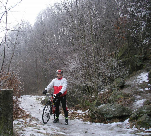 Leśne , górskie drogi były dziś pokryte lodem... #rower #góry