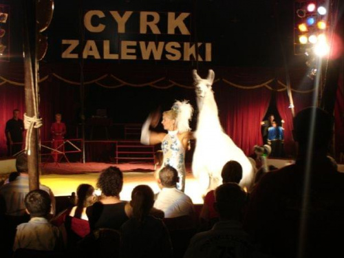 Cyrk Zalewski 2006 Zakaz kopiowania zdjęć zapraszamy na www.cyrk-fan.com #CyrkZalewski