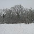 Zima w parku w Werbkowicach