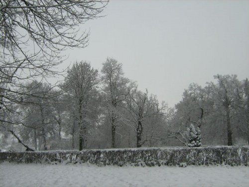 Zima w parku w Werbkowicach