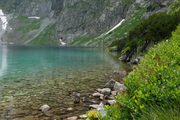 #Tatry #widoki #przyroda #góry #wakacje