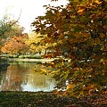 Park Południowy