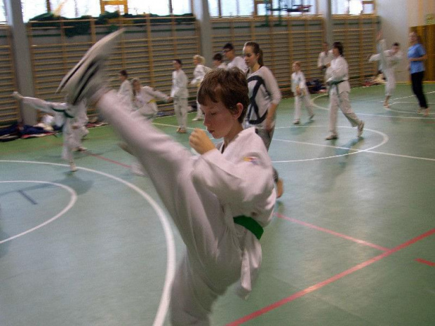 seminarium z MIstrzem Kang Cheol In 7 dan #taekwondo #tkd #walka #zawody