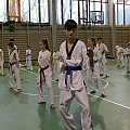 seminarium z MIstrzem Kang Cheol In 7 dan #taekwondo #tkd #walka #zawody
