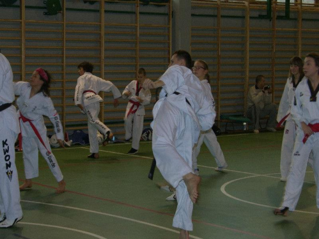 seminarium z MIstrzem Kang Cheol In 7 dan #taekwondo #tkd #walka #zawody