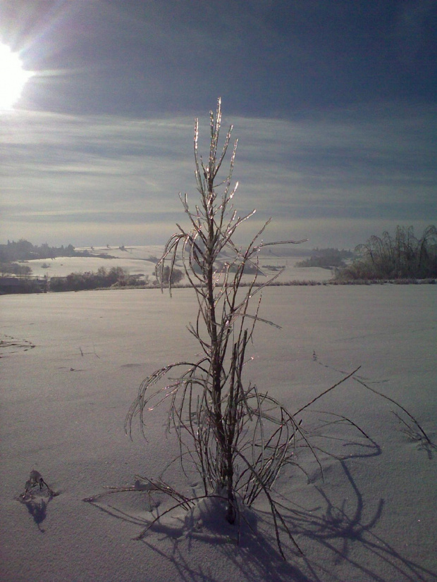 Samotność #Krajobraz #mróz #Przyroda #Śnieg #Zima